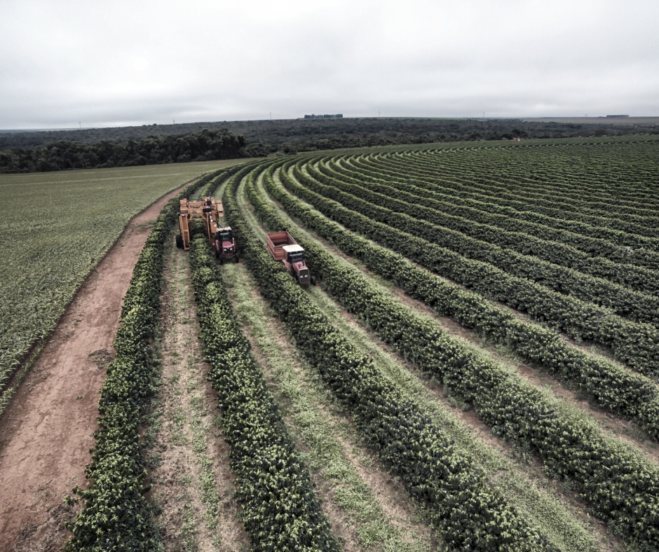 Market down? Tax loss harvesting turns your losses into gains