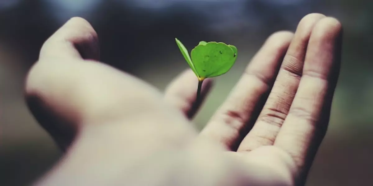 Types of Life Insurance: Important Decision-Making Factors in Choosing the Right Plan For You
