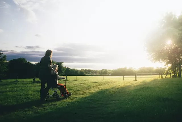 types of conservatorship